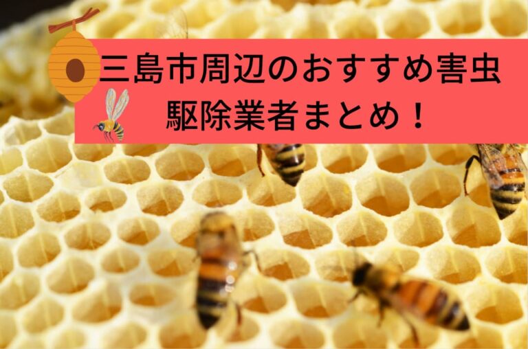 三島市周辺のおすすめ害虫駆除業者まとめ！ ハチの巣、シロアリなど 安全に駆除しよう！